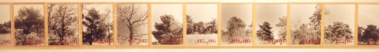 1993-An - onoma, diverse materialen, 450x40cm, Aranda de Duero