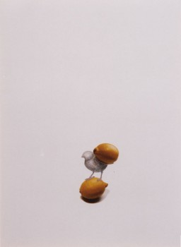 2002-z.t.- mus met citroen op nek - collage, foto's, kleurpotlood, inkt, 71x52cm
