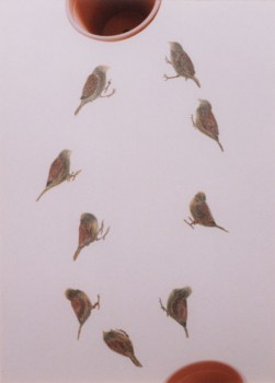 2003-z.t.- mussen met plantenpot - collage, foto's, kleurpotlood, 71x52cm