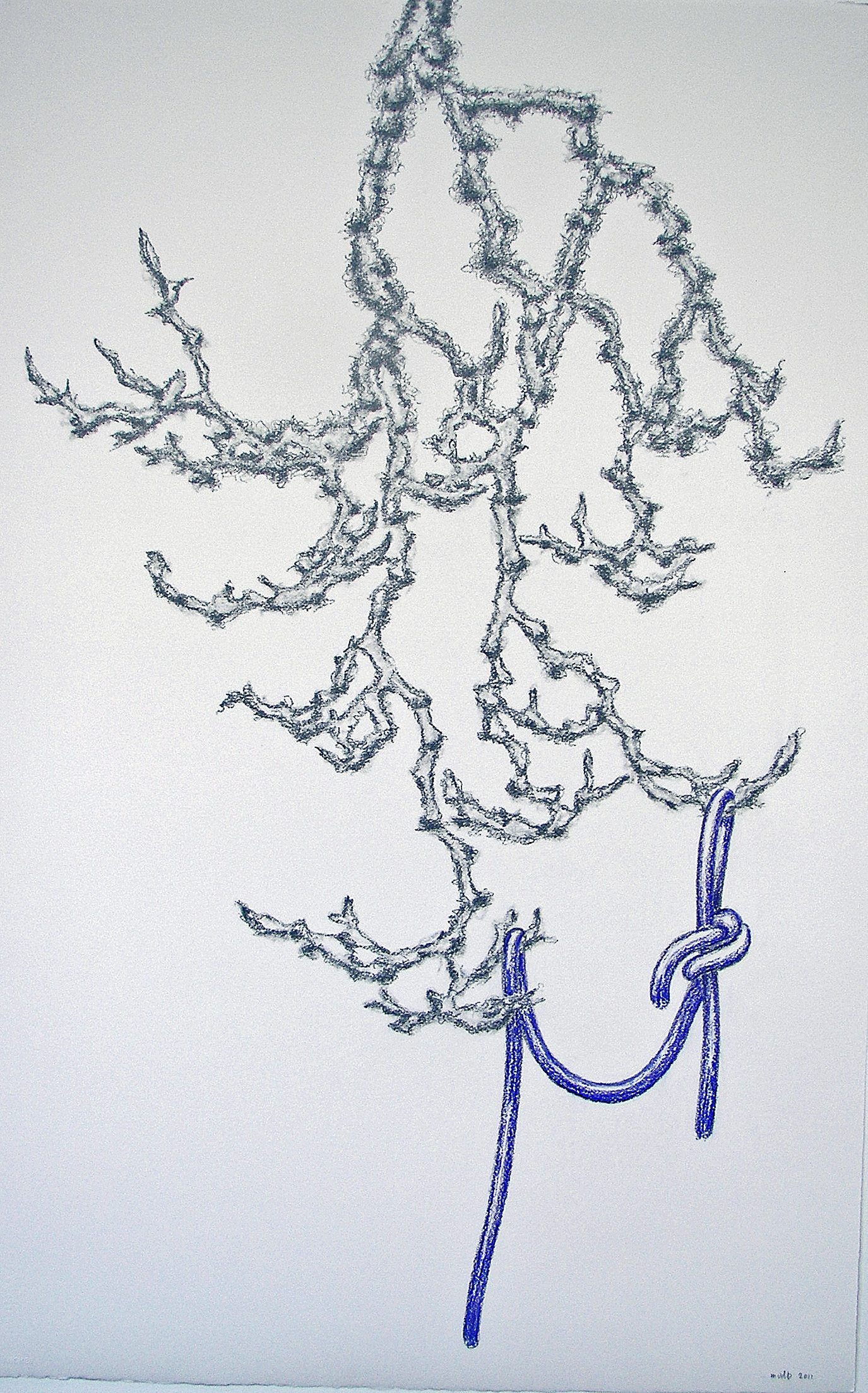 2011-zonder titel, grafiet, conte op papier, 108x71cm