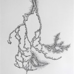 2011-zonder titel, grafiet en conte op papier, 120x82 cm