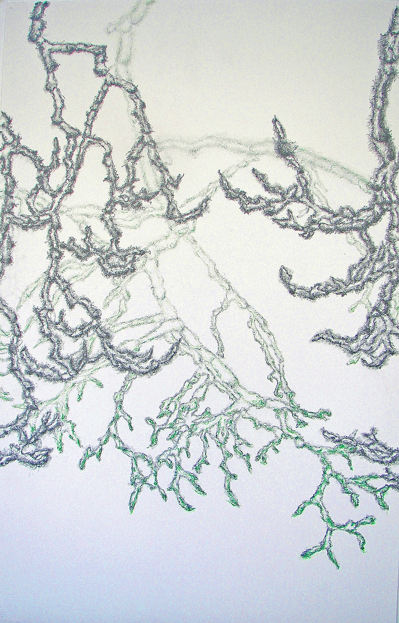 2011-zonder titel, grafiet, kleurpotlood op papier, 108x71cm